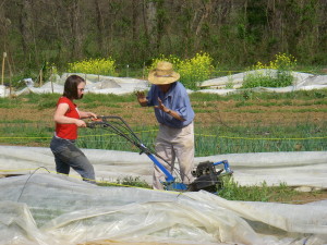 Cover photo for Summer Internship With Stipend Eat Smart Black Mountain