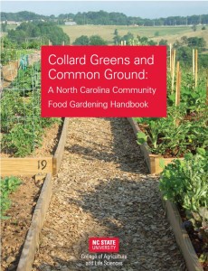 Collard Greens and Common Ground cover