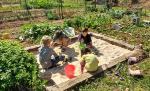 Children in a sandbox in a community garden