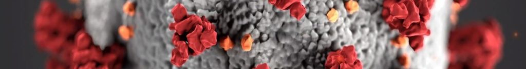 close up of a slice of the virus that causes Covid-19
