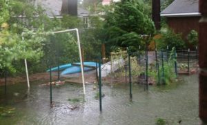 Cover photo for Managing the Impact of Floodwater Contaminants on Soil and Produce in Residential, Community, and School Vegetable Gardens